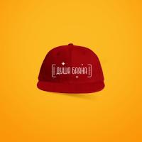 Бейсболка ДУША БАЯНА (красная)